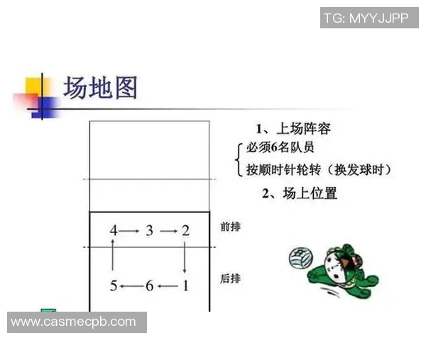 武汉排球队个人能力深度解析与排球技艺的完美结合