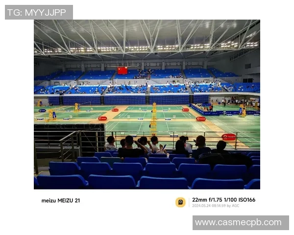 重庆羽毛球队杯赛表现分析：个人能力的突出与不足之处