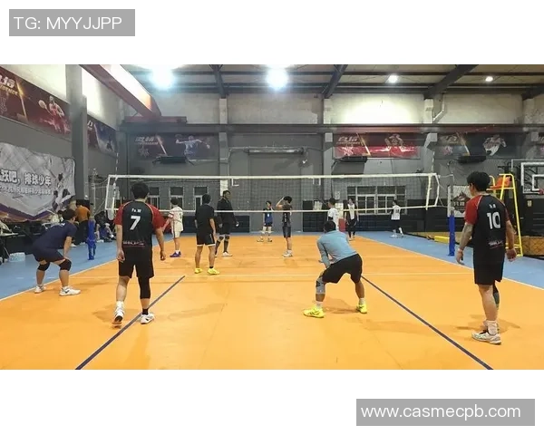 杭州排球队状态分析：备战新赛季的挑战与机遇